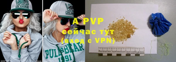 гашик Ладушкин