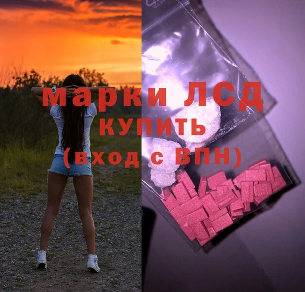 гашик Ладушкин