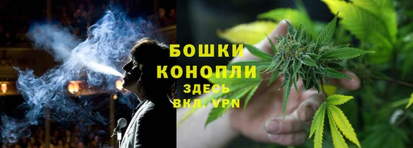 гашик Ладушкин