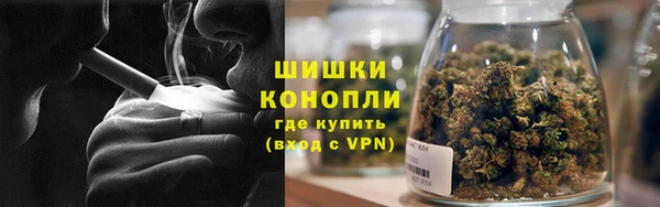 стаф Лабытнанги