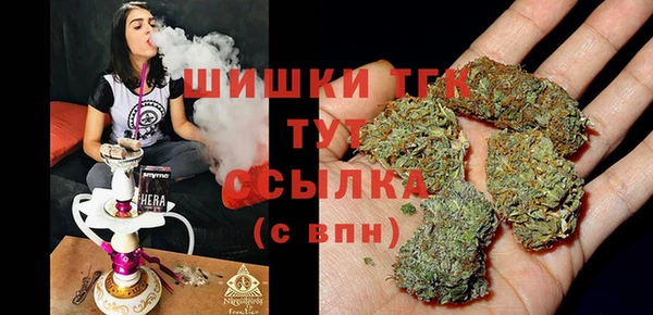 гашик Ладушкин