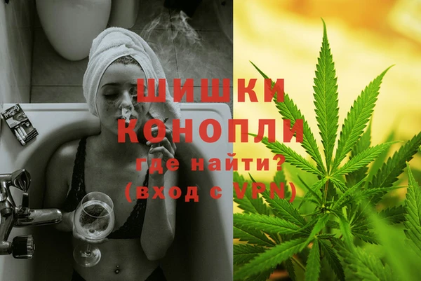стаф Лабытнанги