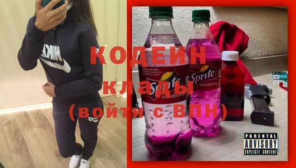 гашик Ладушкин