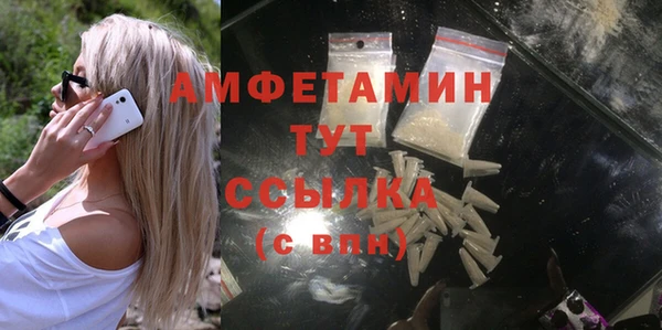 гашик Ладушкин
