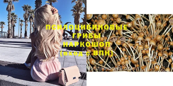 стаф Лабытнанги